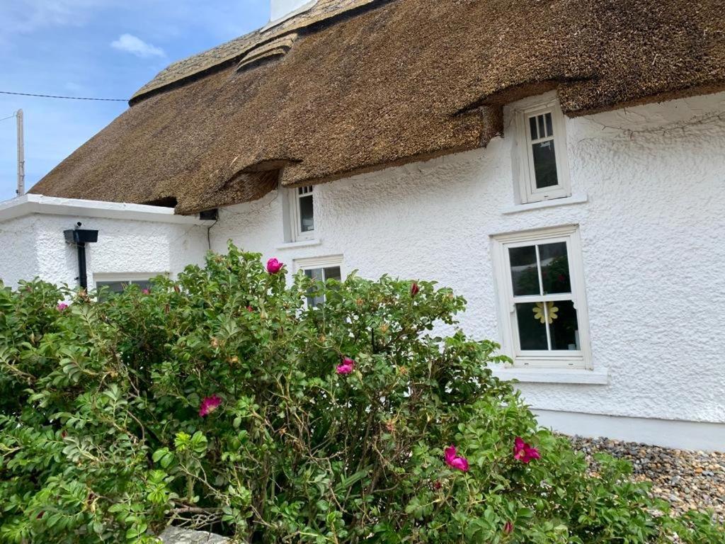Quay House Bed & Breakfast Wexford Exterior photo