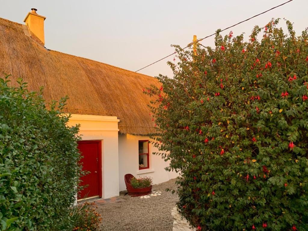 Quay House Bed & Breakfast Wexford Exterior photo